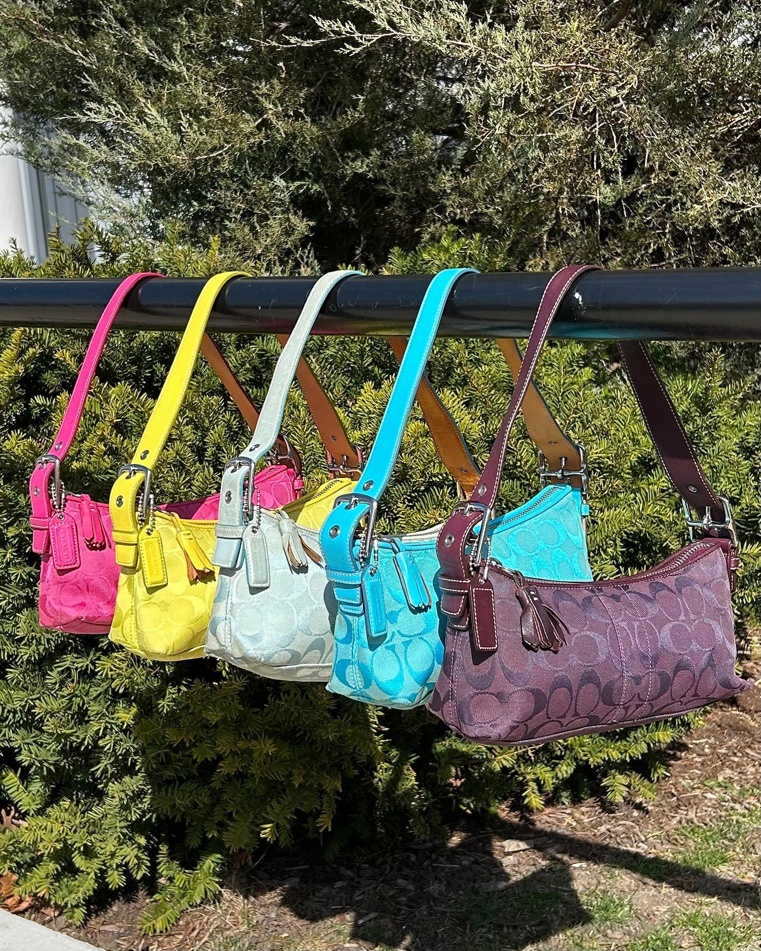 Shop All